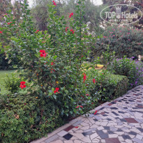 фото из отзыва ID 2727627