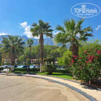 фото из отзыва ID 2727627