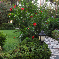 фото из отзыва ID 2727627