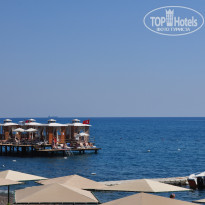 фото из отзыва ID 2727627