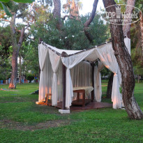 фото из отзыва ID 2727627