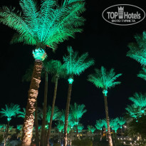 фото из отзыва ID 2727636