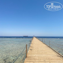 фото из отзыва ID 2727636