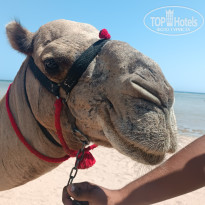 фото из отзыва ID 2727636