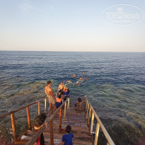 фото из отзыва ID 2727636