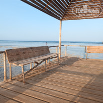 фото из отзыва ID 2727636