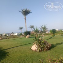 фото из отзыва ID 2727636