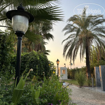 фото из отзыва ID 2726734