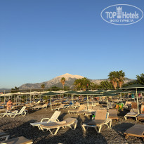 фото из отзыва ID 2726734