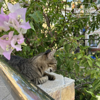 фото из отзыва ID 2726734