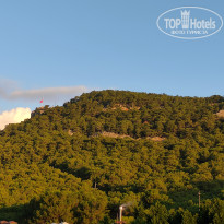 фото из отзыва ID 2727657