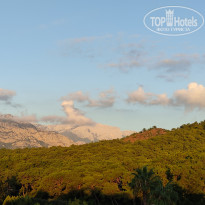 фото из отзыва ID 2727657