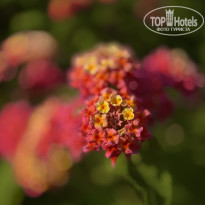 фото из отзыва ID 2727735