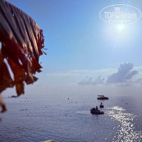 фото из отзыва ID 2727735