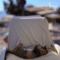 фото из отзыва ID 2727735