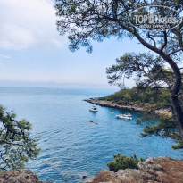 фото из отзыва ID 2727735