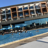 фото из отзыва ID 2727748