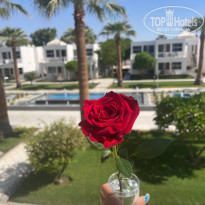 фото из отзыва ID 2727753