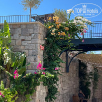 фото из отзыва ID 2727764