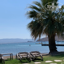 фото из отзыва ID 2727764