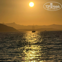 фото из отзыва ID 2727764