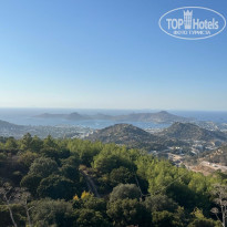 фото из отзыва ID 2727764