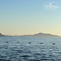 фото из отзыва ID 2727764