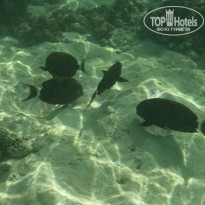 фото из отзыва ID 2727777