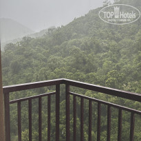 фото из отзыва ID 2727785