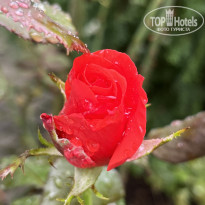 фото из отзыва ID 2727805