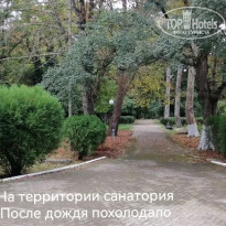 фото из отзыва ID 2727807