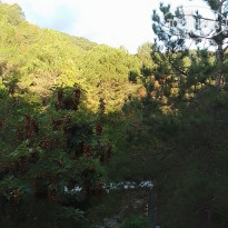 фото из отзыва ID 2727807