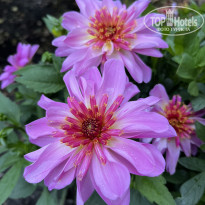 фото из отзыва ID 2727805