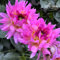 фото из отзыва ID 2727805