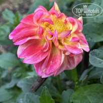 фото из отзыва ID 2727805