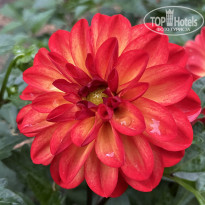 фото из отзыва ID 2727805