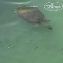 фото из отзыва ID 2727817