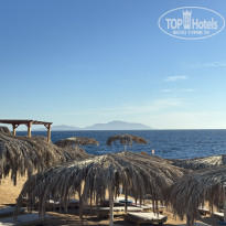 фото из отзыва ID 2727828