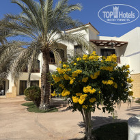 фото из отзыва ID 2727828