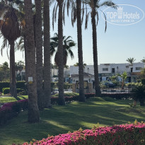 фото из отзыва ID 2727828