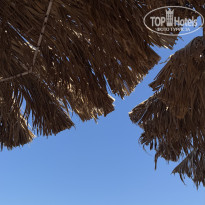 фото из отзыва ID 2727828