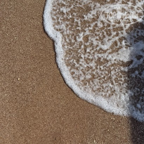 фото из отзыва ID 2727828