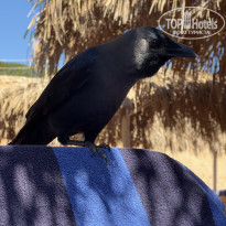 фото из отзыва ID 2727828