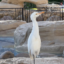 фото из отзыва ID 2727828