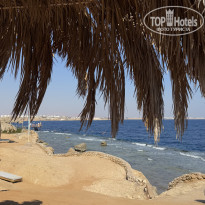 фото из отзыва ID 2727828