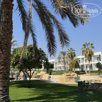 фото из отзыва ID 2727828