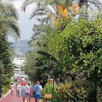 фото из отзыва ID 2727834