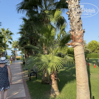 фото из отзыва ID 2727839