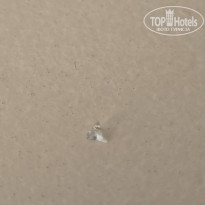 фото из отзыва ID 2727845