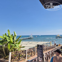 фото из отзыва ID 2727845